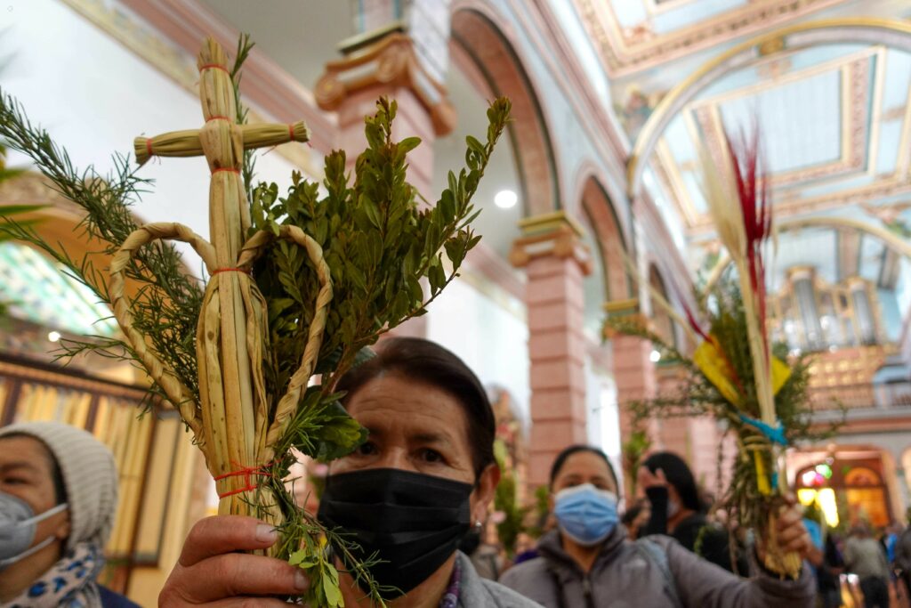 Semana Santa: Ministerio de Ambiente de Ecuador pide a los católicos frenar el uso y la comercialización de la Palma de Cera durante el Domingo de Ramos