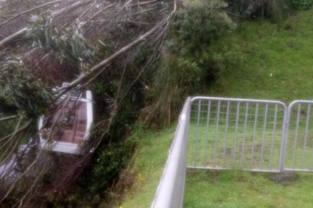 Un árbol cayó sobre el sistema del Teleférico de Quito, afortunadamente no se reportaron personas heridas. Autoridades locales evalúan la situación.