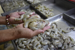 VICHE GASTRONOMÍA MANABÍ