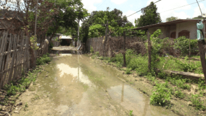 Vecinos reclaman intervención urgente por insalubridad y abandono en Cuatro Esquinas