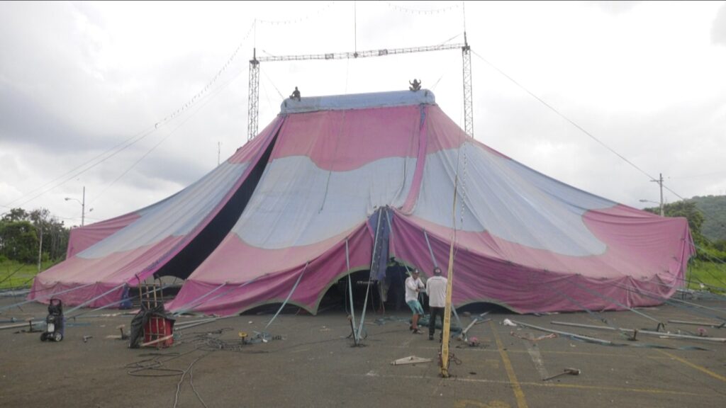 “Venecia Circo sobre el agua” llega a Portoviejo con un espectáculo único y lleno de magia