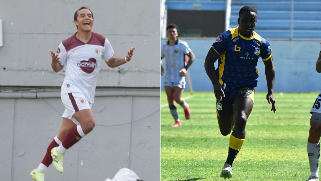 Vinotinto y Delfín abren la fecha 8 de la LigaPro Serie A, que se disputará hasta el martes