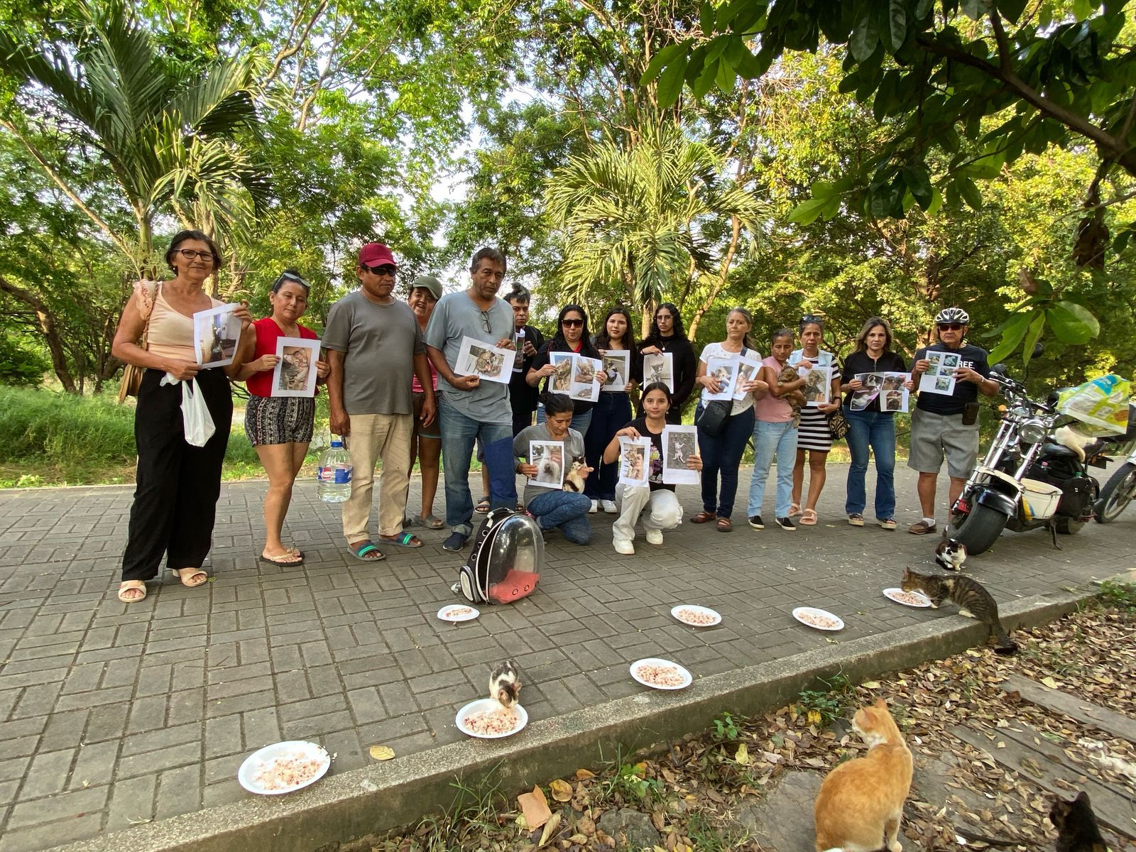 Maltrato y tortura animal: el horror que viven los gatos abandonados en el Parque El Mamey