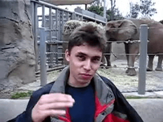 YouTube conmemora el aniversario 20 del primer video de su historia