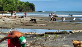 El Club Rotario Manta se une a la Minga Mundial por el Medio Ambiente con limpieza de playas y parques.