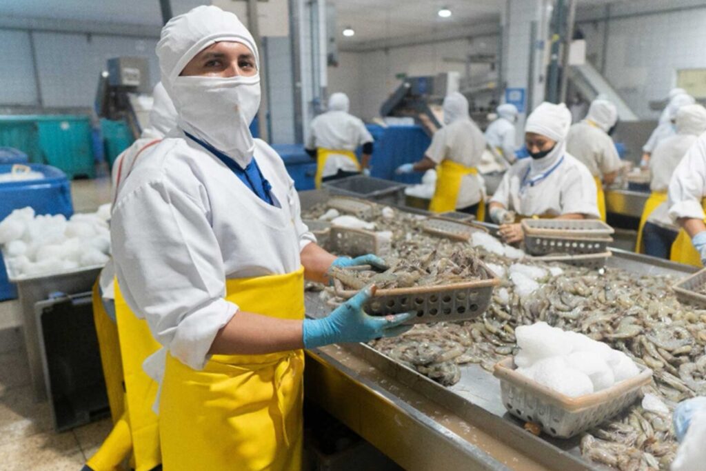 ¿Cuál es el impacto de los aranceles en la industria del camarón de Ecuador tras medidas impuestas por Estados Unidos y México?