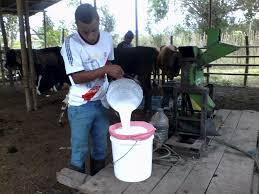 Ajuste del precio de leche en Ecuador