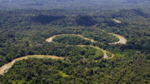 BOSQUES ECUADOR