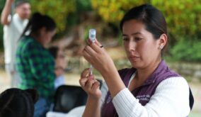COE Nacional activa protocolos urgentes de vacunación en escuelas por alza de casos de fiebre amarilla y tosferina