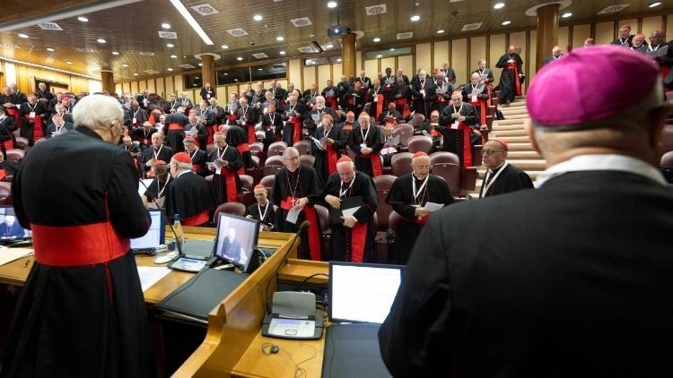 Cardenales se reunieron a pocos días del Cónclave “Necesitamos un poco más de tiempo”