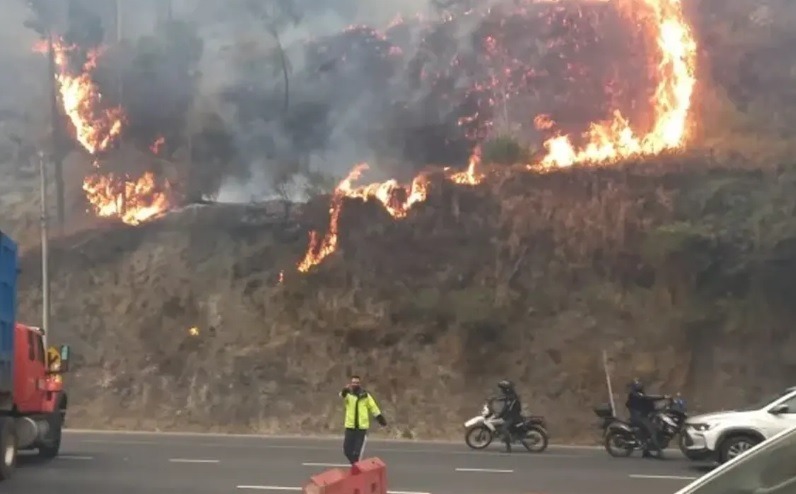 Corte ratifica sentencia contra autor de incendio forestal en Guápulo