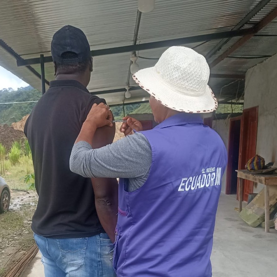 Detectan mosquito transmisor de fiebre amarilla en el Chocó Andino de Quito