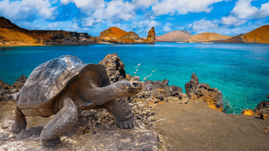 Ecuador obtiene $6 millones para proteger reservas marinas de Galápagos