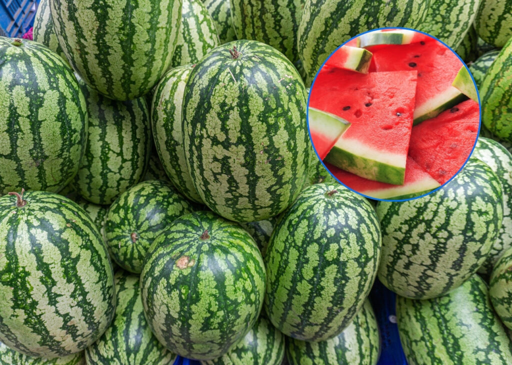 El truco más fiable para que sepas elegir una buena sandía está en este detalle
