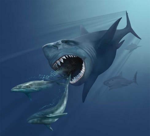 El temible megalodón no solo cazaba ballenas: nuevo estudio revela su dieta diversa