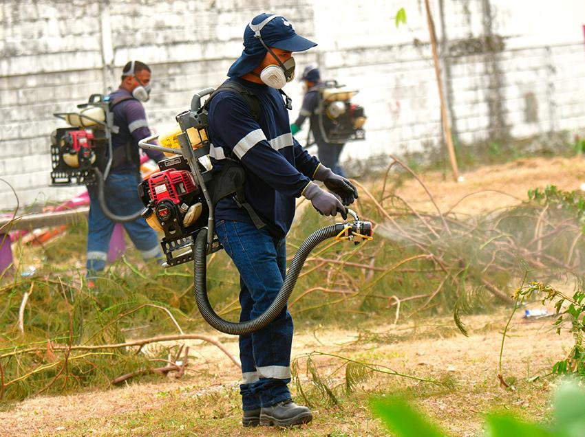 En enero, el Municipio visitó 4,726 hogares en Mapasingue. Este control de plagas alcanzó a 42,527 beneficiarios.