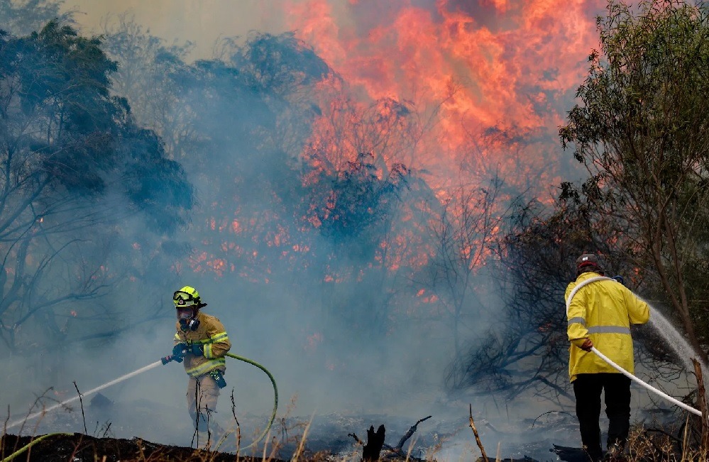 Israel enfrenta una emergencia nacional debido a graves y masivos incendios forestales que se desataron en zonas cercanas a Jerusalén.