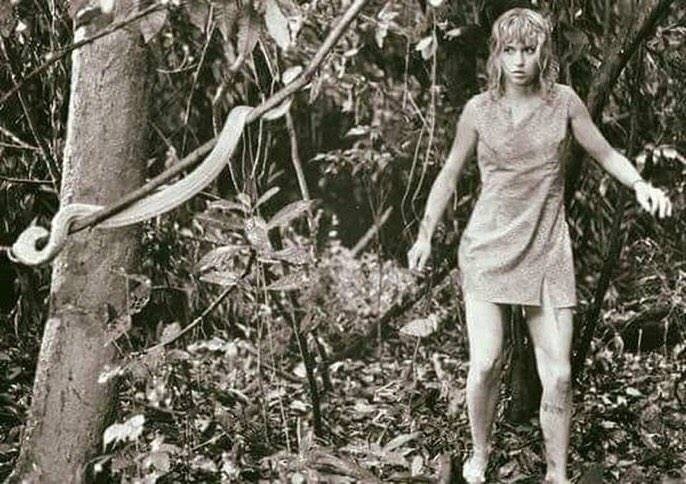 Juliane Koepcke, una zoóloga peruano-alemana, sobrevivió milagrosamente en 1971 a la caída de 3 mil metros desde un avión.