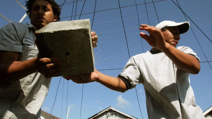 El estudio señala también que entre 2010 a 2023 los latinos contribuyeron un promedio de 726 mil trabajadores cada año a la fuerza laboral de Estados Unidos.