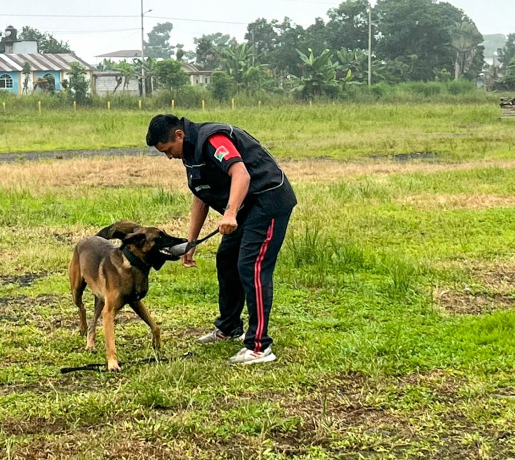 Municipio y Bomberos capacitan a personal sobre control de perros peligrosos