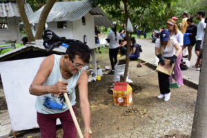 Gatos del parque El Mamey reciben atención urgente tras denuncias de maltrato y tortura animal 