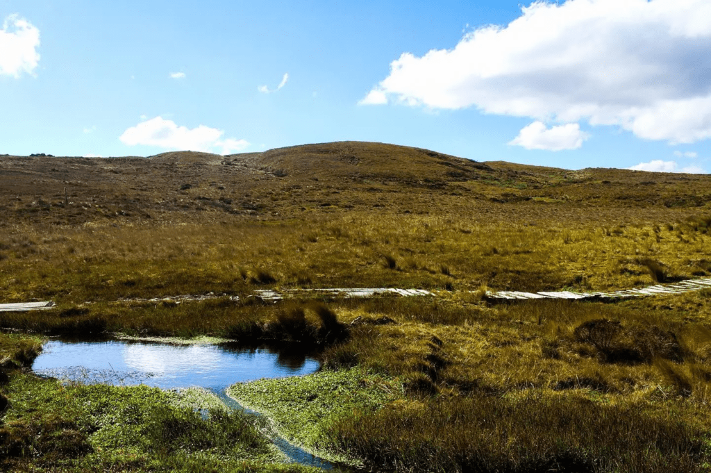 Quimsacocha: Ministerio del Ambiente garantiza conservación en áreas protegidas