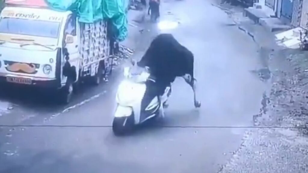 Un toro se 'roba' una motocicleta y queda grabado, el animal protagoniza un video que se viralizó en varias redes sociales. (Internet).