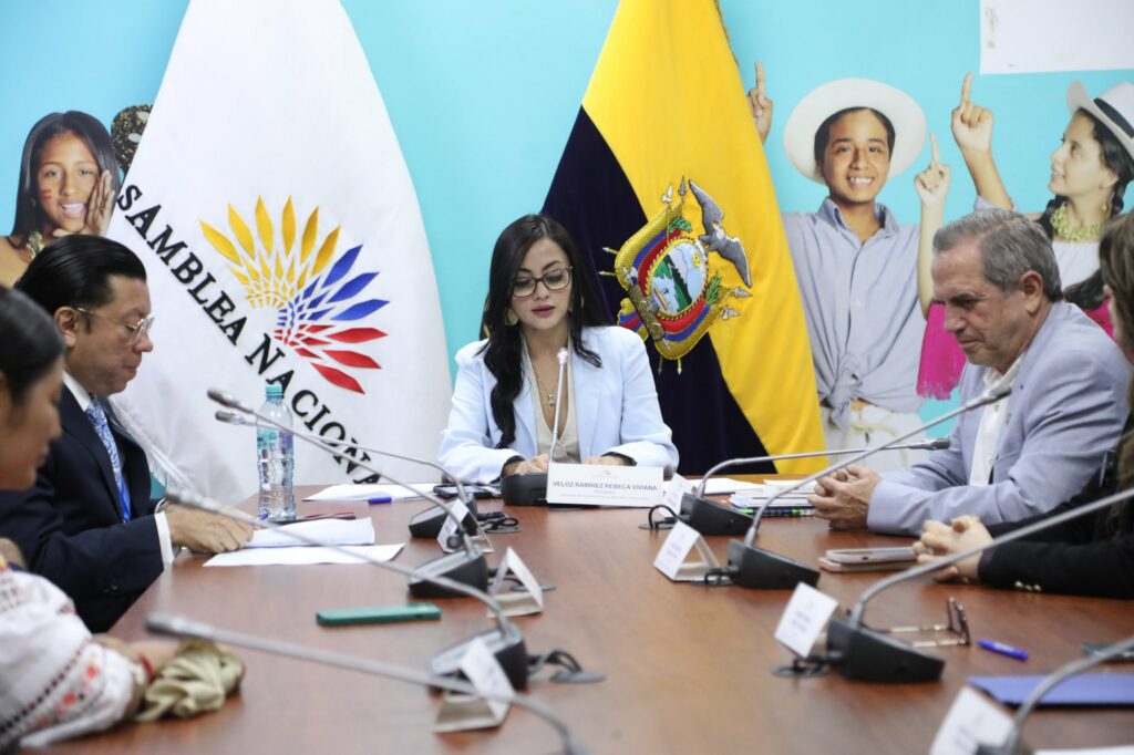 Viviana Veloz asume la presidencia de la Comisión de la Niñez en la Asamblea Nacional