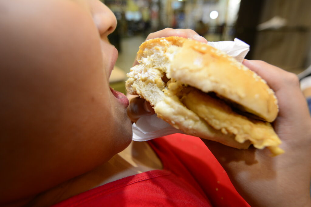 hamburguesas alimentos ultraprocesados