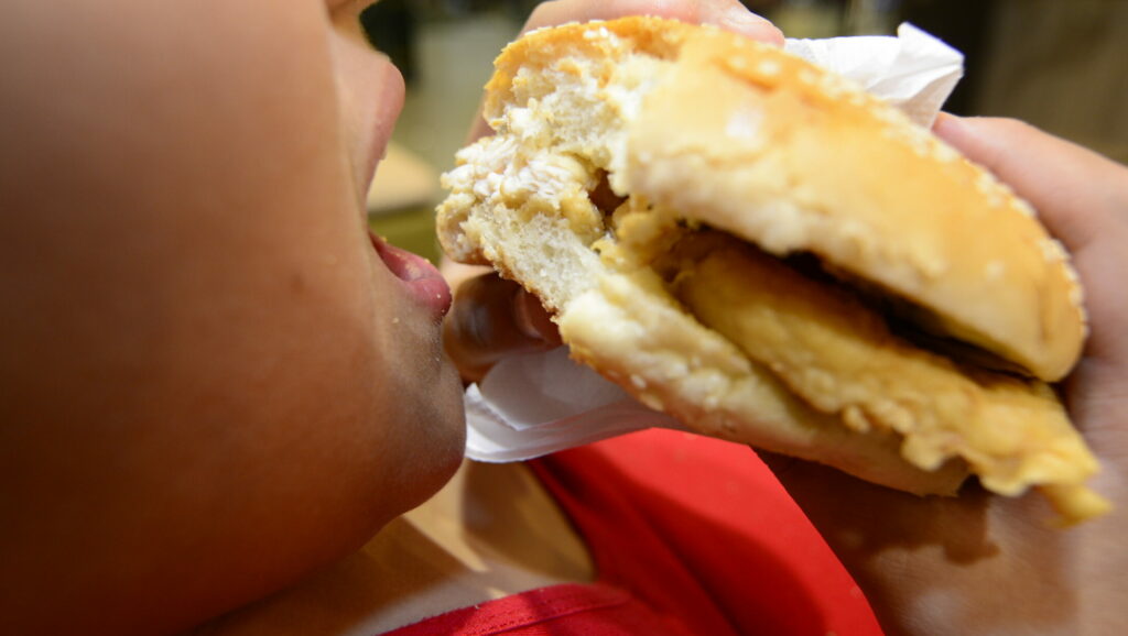 hamburguesas alimentos ultraprocesados