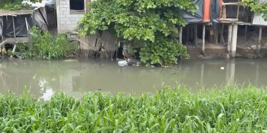 Autoridades confirmaron que se trata de Jorge Garay la persona hallada flotando en el estero El Macho, en Machala