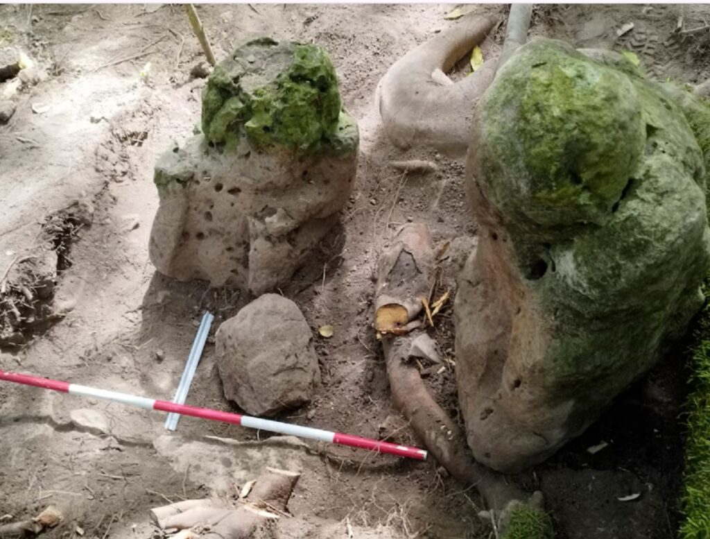 Dos esculturas antropomórficas de forma o apariencia humana que "representan a una pareja ancestral", descubiertas en el yacimiento arqueológico de Uaxactún, en la Reserva de la Biosfera Maya, departamento de Petén, Guatemala FOTO: AFP