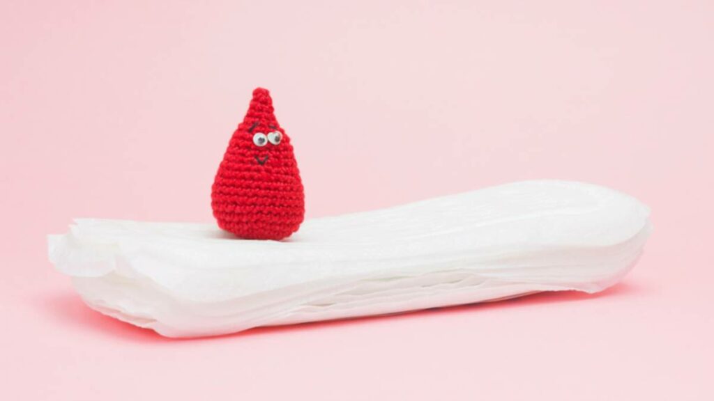 Estudio indica que la dieta infantil influye en la edad de la primera menstruación (menarquia)