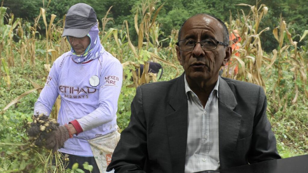 ¡Atención, agricultores! BanEcuador promueve crédito exclusivo para productores de ciclo corto. (El Diario). (1)