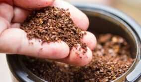 ¿Por qué deberías guardar los residuos del café filtrado en vez de tirarlos? Estás desperdiciando un tesoro para tus plantas