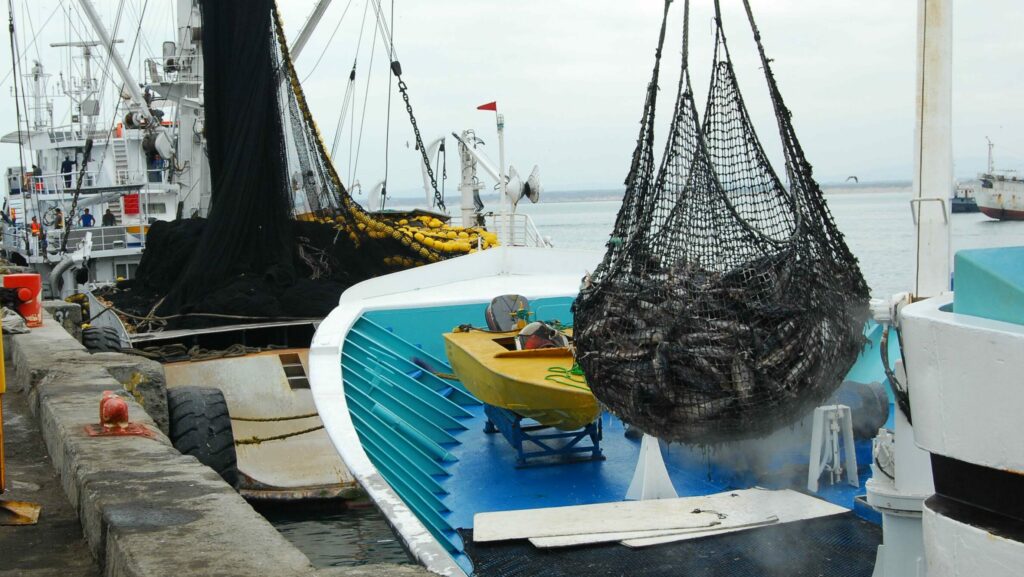 atun pesca subsidio