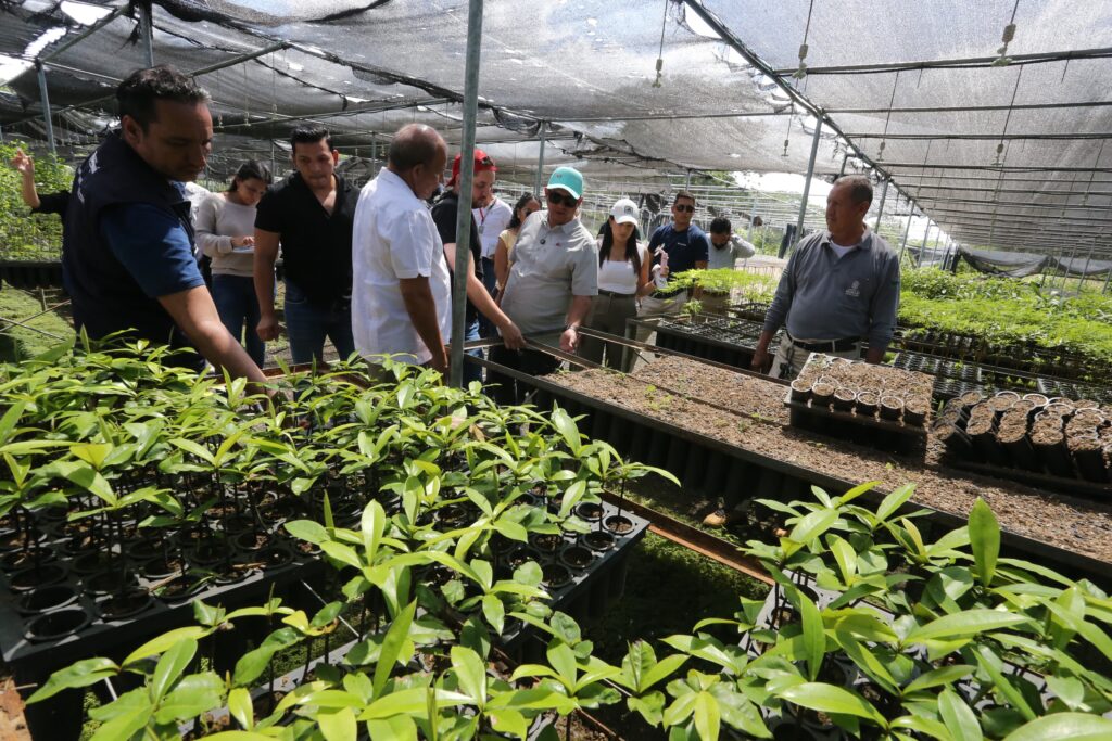 Prefectura de Manabí recibe el 60% de la alícuota de marzo y espera propuesta de pago del Gobierno