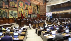 Asamblea Nacional archiva el proyecto de Ley Orgánica Reformatoria a la Ley de Discapacidades: ¿Qué sigue ahora?