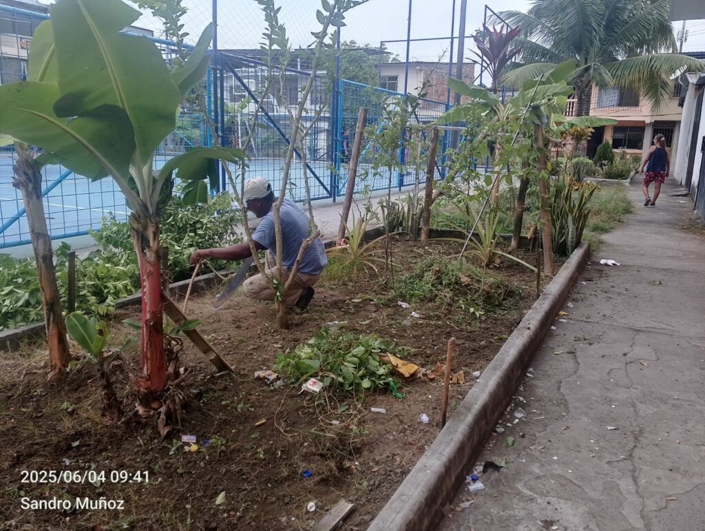 Cansados de Esperar Moradores de Portoviejo transforman sus áreas verdes