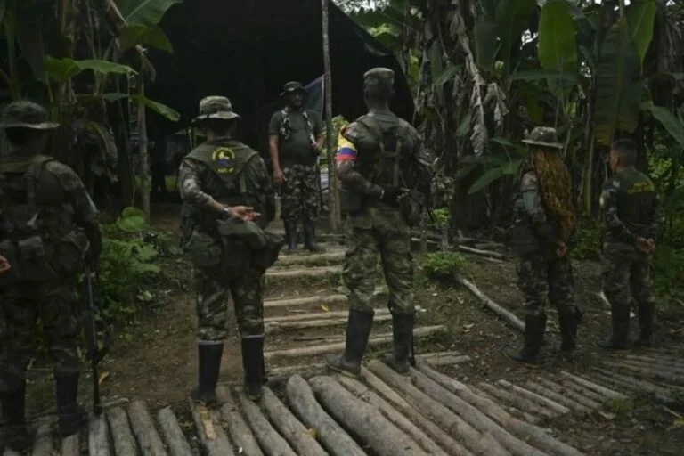 Capturan en Cali a cabecilla de las FARC por secuestro de menor y ataques terroristas