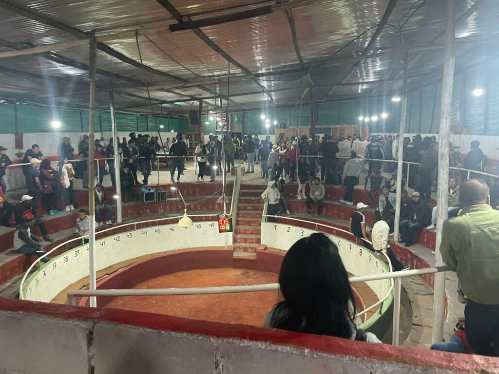 Clausurada gallera clandestina en Quito con menores y antecedentes penales