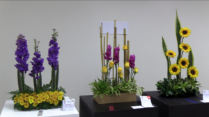 Club de Jardinería Portoviejo Inaugura su XXIX Exposición en la Universidad San Gregorio
