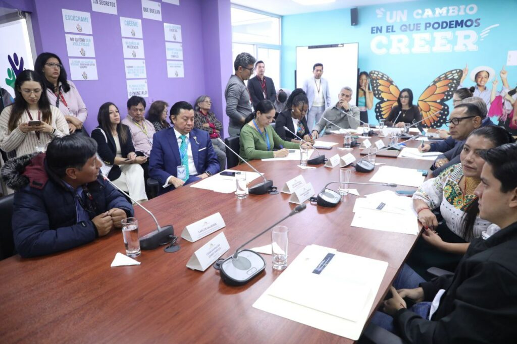 Comisión de la Niñez prioriza reformas al CONA y fiscalización en plan 2025-2027