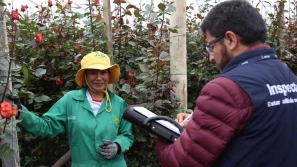 El IESS ha recuperado cerca e 15 millones de dólares en lo que va del 2025 durante inspecciones a empleadores. (IESS).