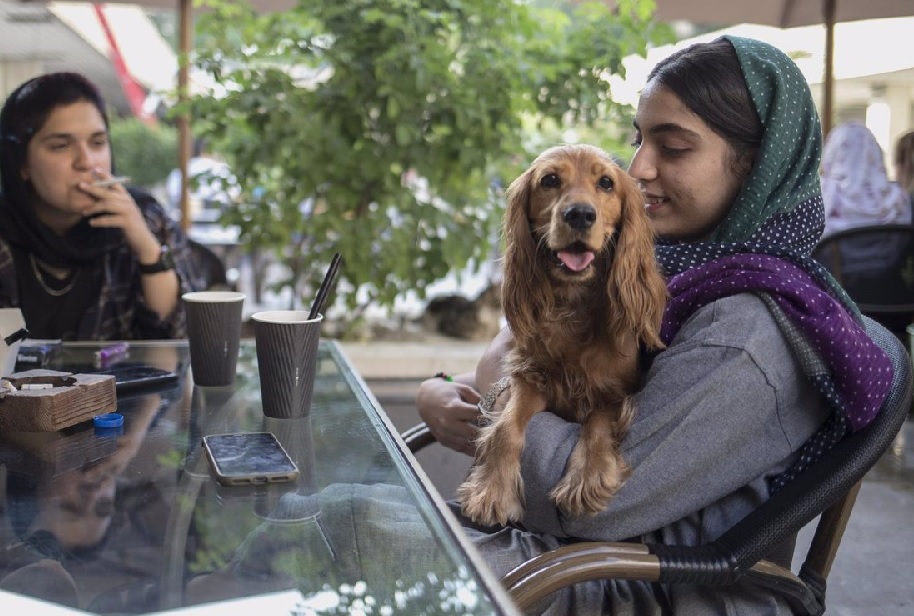 En al menos 18 ciudades de Irán, incluyendo Isfahán, Kermán e Ilam, se ha prohibido pasear perros en espacios públicos.