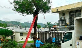 Quince espacios públicos fueron intervenidos en Urdesa Central durante una jornada liderada por el Municipio de Guayaquil y vecinos.