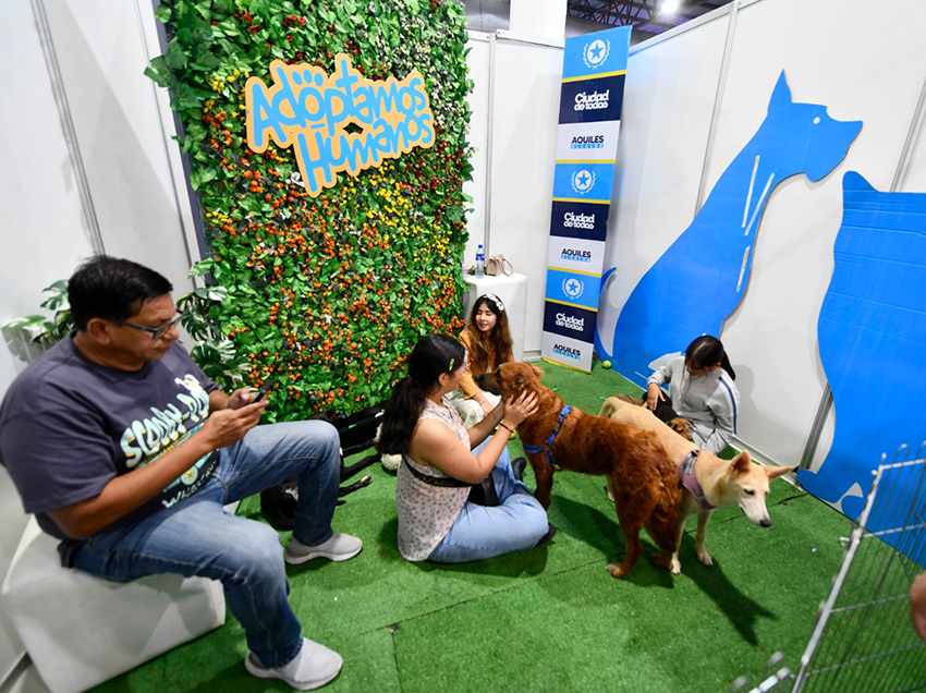 Guayaquil acogió una masiva edición de la Comic Con 2025, que combinó cultura pop, turismo, adopciones de animales.