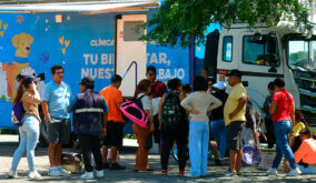 Durante los primeros cinco meses del año, Guayaquil ofreció más de 116.000 atenciones médicas gratuitas a perros y gatos.