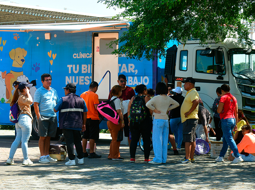 Durante los primeros cinco meses del año, Guayaquil ofreció más de 116.000 atenciones médicas gratuitas a perros y gatos.