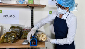 En Guayaquil, más de 9.400 mujeres han recibido capacitación gratuita en emprendimiento durante 2025.